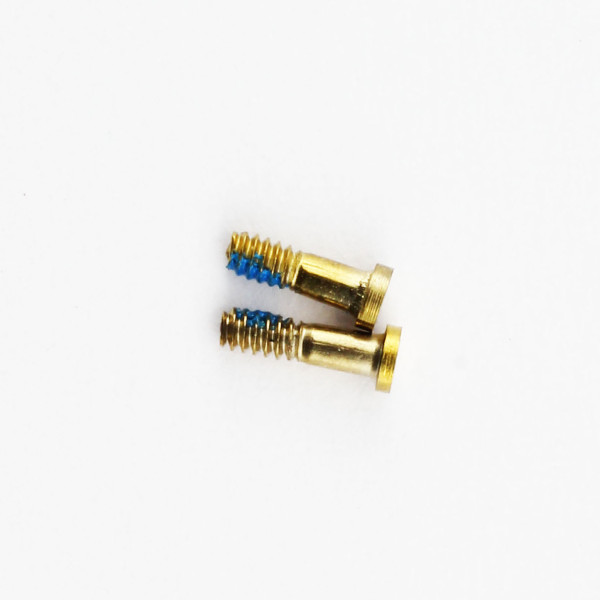 Gehäuseschrauben für iPhone 5S, 2 Stück, gold